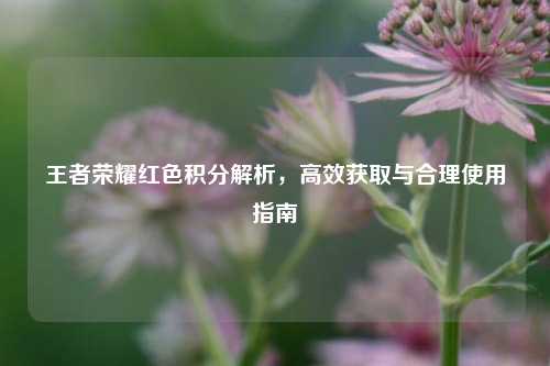 王者荣耀红色积分解析,高效获取与合理使用指南
