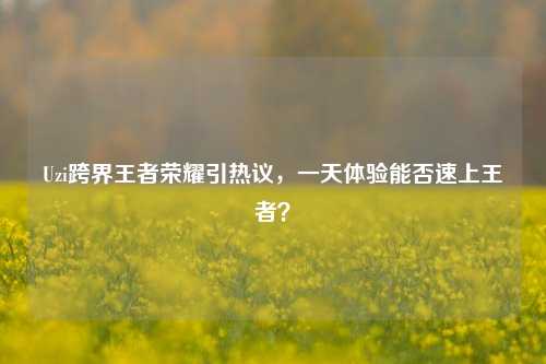 Uzi跨界王者荣耀引热议,一天体验能否速上王者?