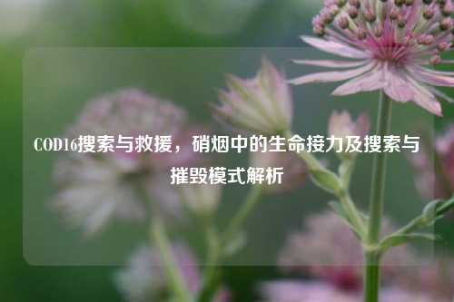 COD16搜索与救援,硝烟中的生命接力及搜索与摧毁模式解析