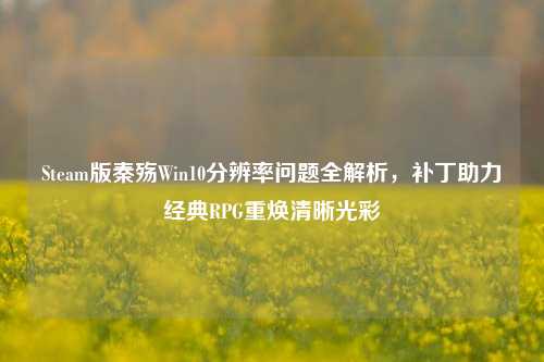 Steam版秦殇Win10分辨率问题全解析,补丁助力经典RPG重焕清晰光彩