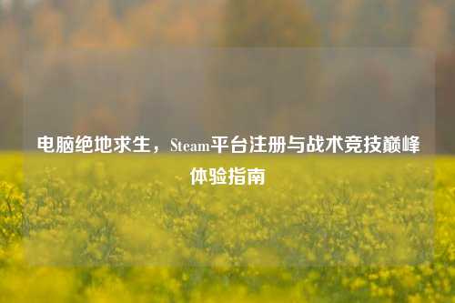 电脑绝地求生，Steam平台注册与战术竞技巅峰体验指南