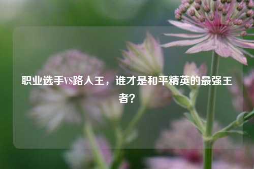 职业选手VS路人王,谁才是和平精英的最强王者?