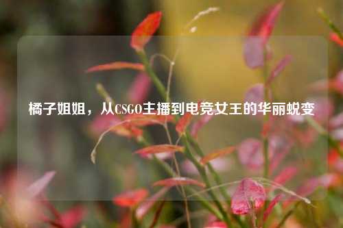 橘子姐姐,从CSGO主播到电竞女王的华丽蜕变