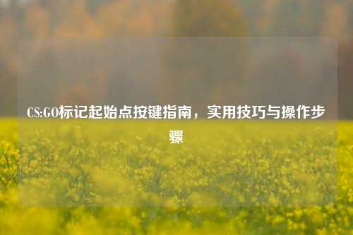 CS:GO标记起始点按键指南,实用技巧与操作步骤