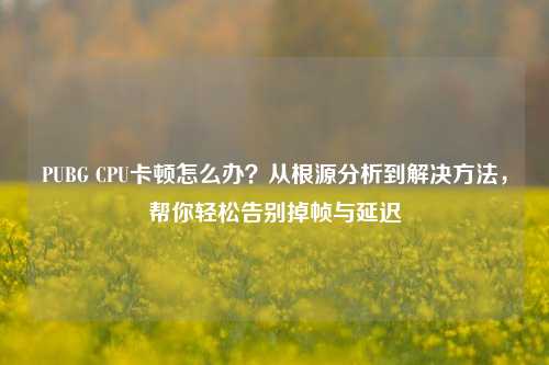 PUBG CPU卡顿怎么办?从根源分析到解决 ,帮你轻松告别掉帧与延迟