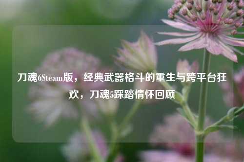 刀魂6Steam版，经典武器格斗的重生与跨平台狂欢，刀魂5踩踏情怀回顾