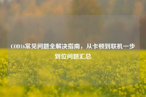 COD16常见问题全解决指南,从卡顿到联机一步到位问题汇总