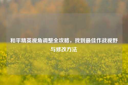 和平精英视角调整全攻略,找到更佳作战视野与修改