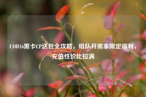 COD16黑卡CP送包全攻略,组队开黑拿限定福利,充值性价比拉满