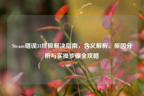 Steam错误31终极解决指南,含义解析、原因分析与实操步骤全攻略