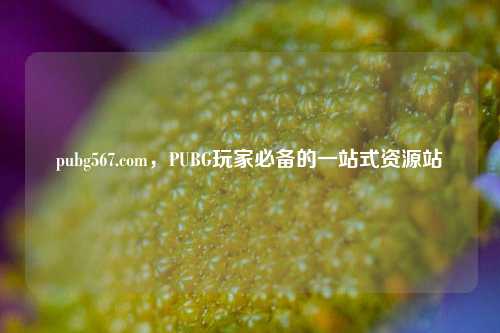 pubg567.com,PUBG玩家必备的一站式资源站