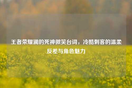 王者荣耀澜的死神微笑台词,冷酷刺客的温柔反差与角色魅力