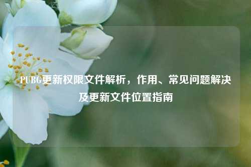 PUBG更新权限文件解析,作用、常见问题解决及更新文件位置指南