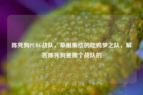 陈死狗PUBG战队，草根集结的吃鸡梦之队，解答陈死狗是哪个战队的