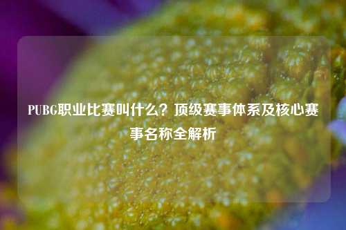 PUBG职业比赛叫什么？顶级赛事体系及核心赛事名称全解析