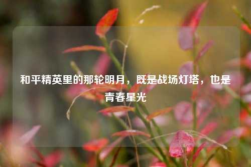 和平精英里的那轮明月，既是战场灯塔，也是青春星光