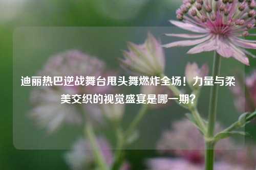 迪丽热巴逆战舞台甩头舞燃炸全场！力量与柔美交织的视觉盛宴是哪一期？