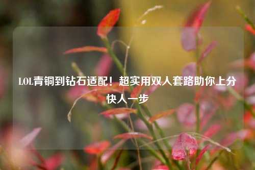LOL青铜到钻石适配！超实用双人套路助你上分快人一步