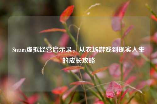 Steam虚拟经营启示录，从农场游戏到现实人生的成长攻略