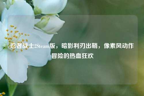 忍者战士2Steam版，暗影利刃出鞘，像素风动作冒险的热血狂欢