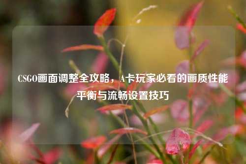CSGO画面调整全攻略，A卡玩家必看的画质性能平衡与流畅设置技巧