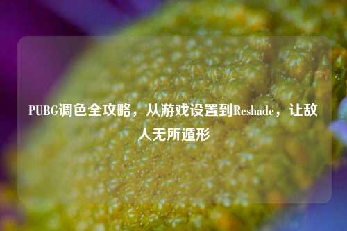 PUBG调色全攻略，从游戏设置到Reshade，让敌人无所遁形
