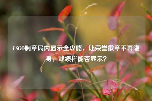 CSGO胸章局内显示全攻略，让荣誉徽章不再隐身，战绩栏能否显示？