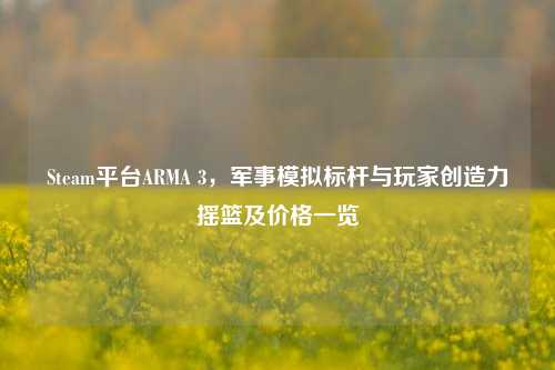 Steam平台ARMA 3，军事模拟标杆与玩家创造力摇篮及价格一览