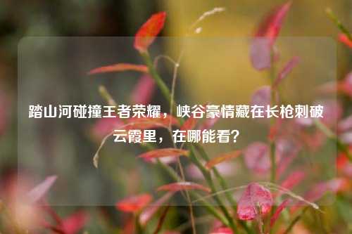 踏山河碰撞王者荣耀，峡谷豪情藏在长枪刺破云霞里，在哪能看？