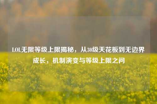 LOL无限等级上限揭秘，从30级天花板到无边界成长，机制演变与等级上限之问