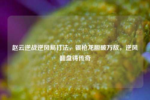 赵云逆战逆风局打法，银枪龙胆破万敌，逆风翻盘铸传奇