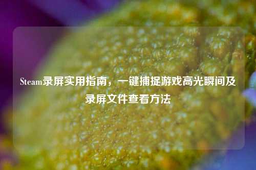 Steam录屏实用指南，一键捕捉游戏高光瞬间及录屏文件查看     