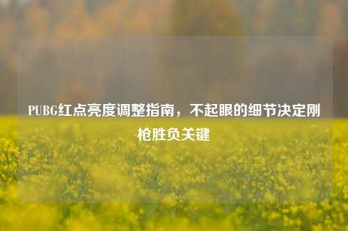 PUBG红点亮度调整指南，不起眼的细节决定刚枪胜负关键