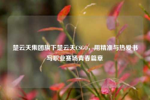 楚云天集团旗下楚云天CSGO，用精准与热爱书写职业赛场青春篇章