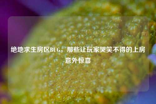 绝地求生房区BUG，那些让玩家哭笑不得的上房意外惊喜
