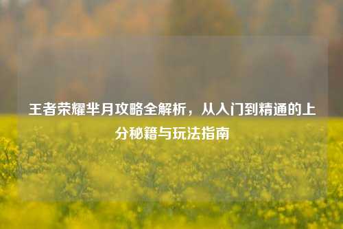 王者荣耀芈月攻略全解析，从入门到精通的上分秘籍与玩法指南