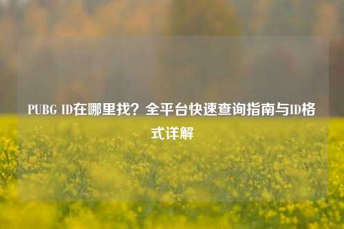 PUBG ID在哪里找？全平台快速查询指南与ID格式详解