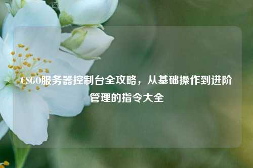 CSGO服务器控制台全攻略，从基础操作到进阶管理的指令大全