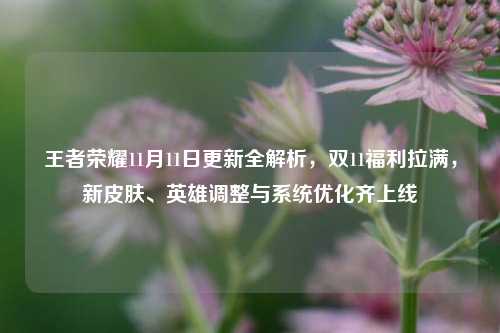 王者荣耀11月11日更新全解析,双11福利拉满,新皮肤、英雄调整与系统优化齐上线