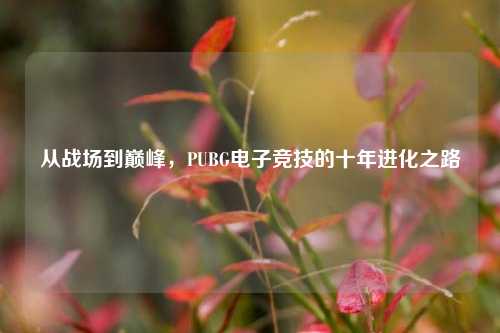 从战场到巅峰，PUBG电子竞技的十年进化之路