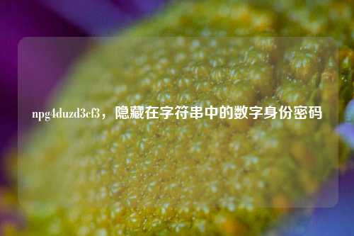 npg4duzd3cf3，隐藏在字符串中的数字身份密码