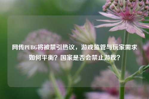 网传PUBG将被禁引热议，游戏监管与玩家需求如何平衡？国家是否会禁止游戏？