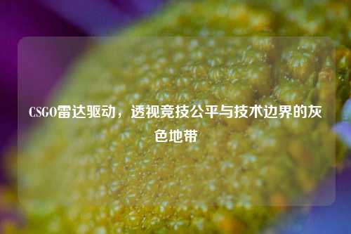 CSGO雷达驱动，透视竞技公平与技术边界的灰色地带