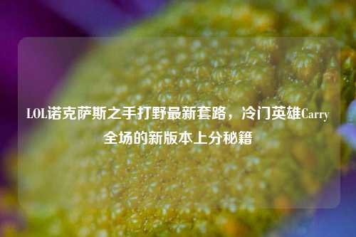 LOL诺克萨斯之手打野最新套路，冷门英雄Carry全场的新版本上分秘籍