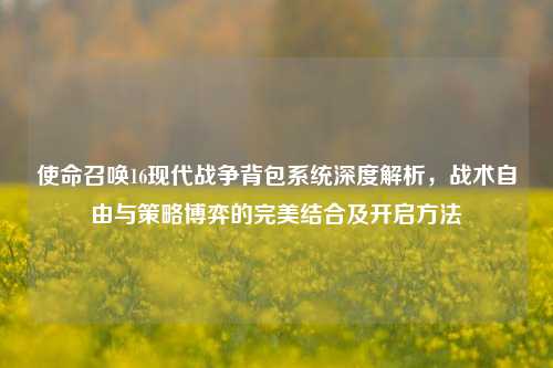 使命召唤16现代战争背包系统深度解析,战术自由与策略博弈的完美结合及开启