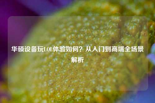 华硕设备玩LOL体验如何?从入门到高端全场景解析