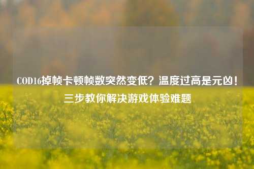 COD16掉帧卡顿帧数突然变低?温度过高是元凶!三步教你解决游戏体验难题