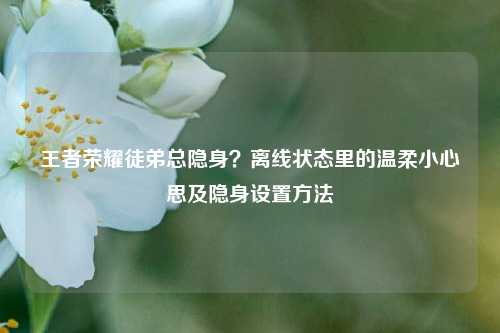 王者荣耀徒弟总隐身?离线状态里的温柔小心思及隐身设置