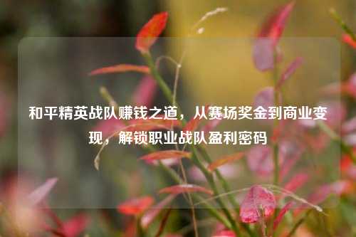和平精英战队赚钱之道,从赛场奖金到商业变现,解锁职业战队盈利密码
