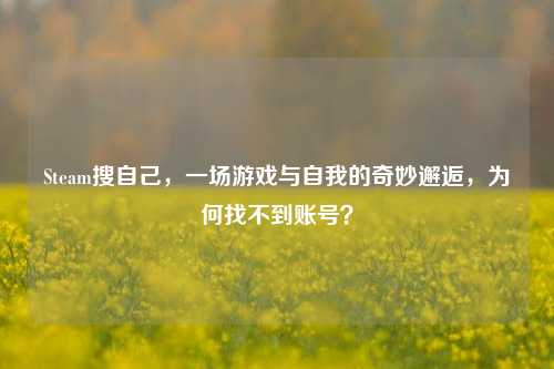 Steam搜自己，一场游戏与自我的奇妙邂逅，为何找不到账号？